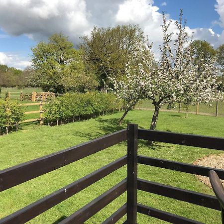 Maplehurst Barn Stables Staplehurst Luaran gambar
