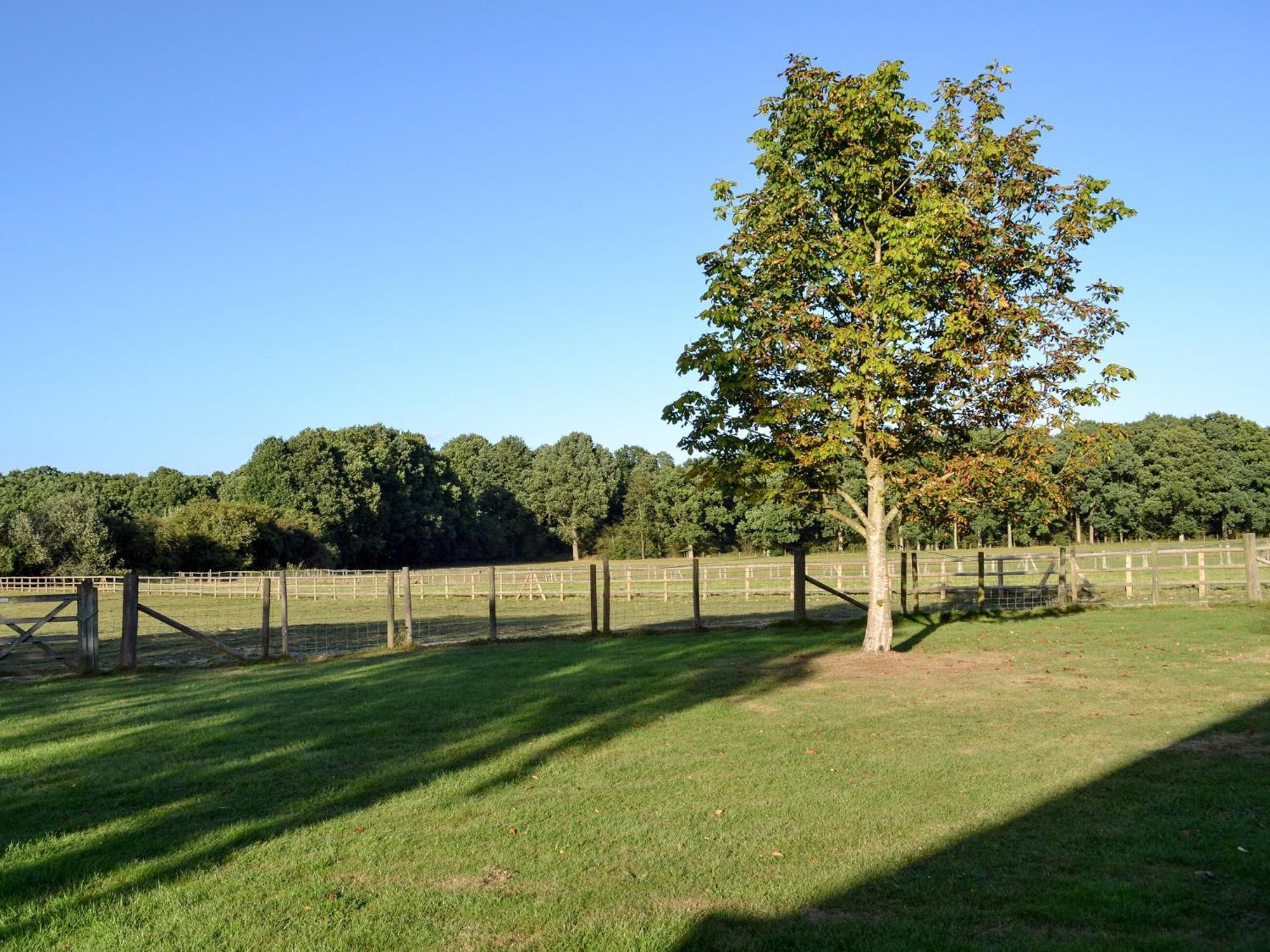 Maplehurst Barn Stables Staplehurst Luaran gambar
