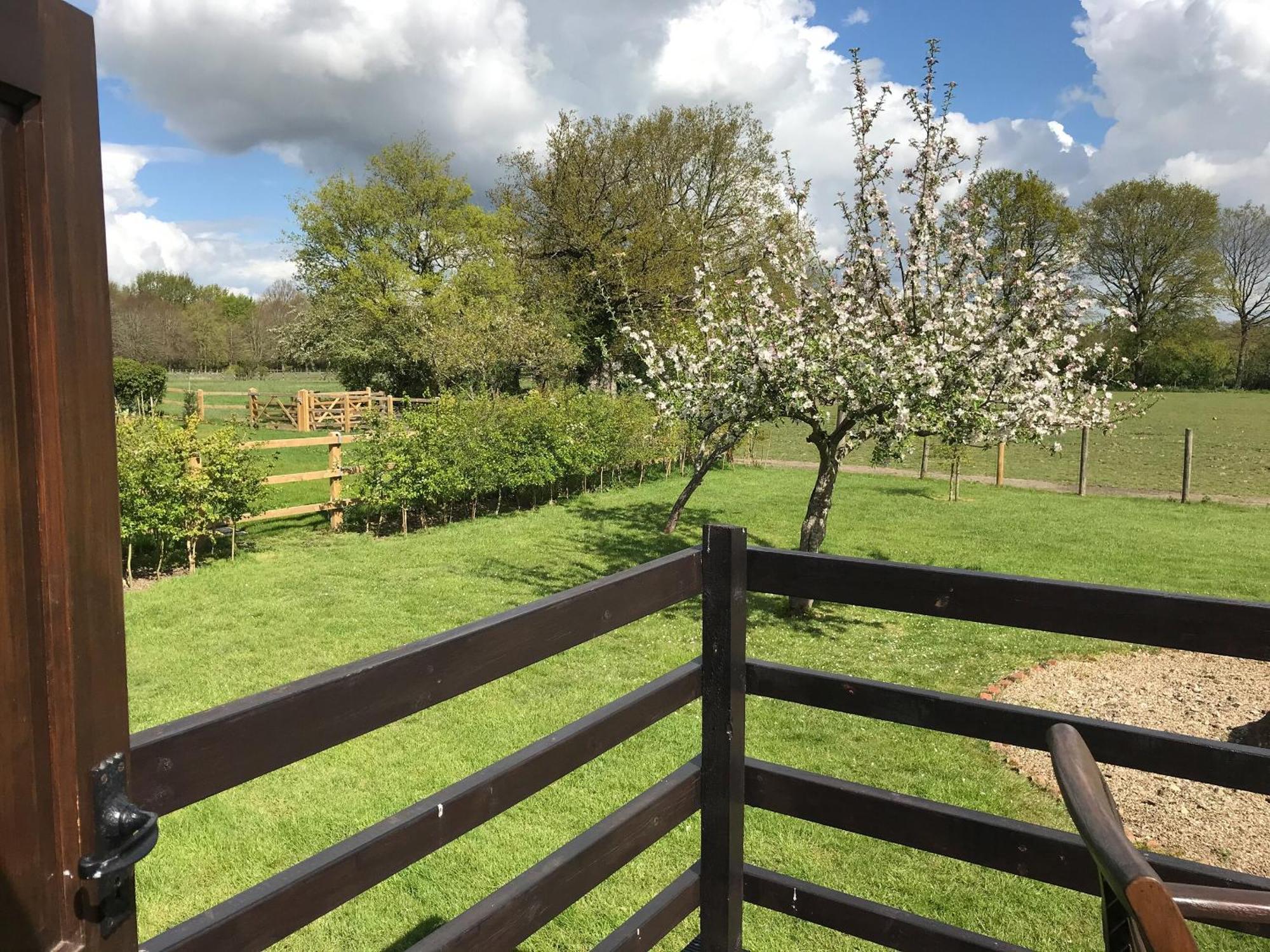 Maplehurst Barn Stables Staplehurst Luaran gambar