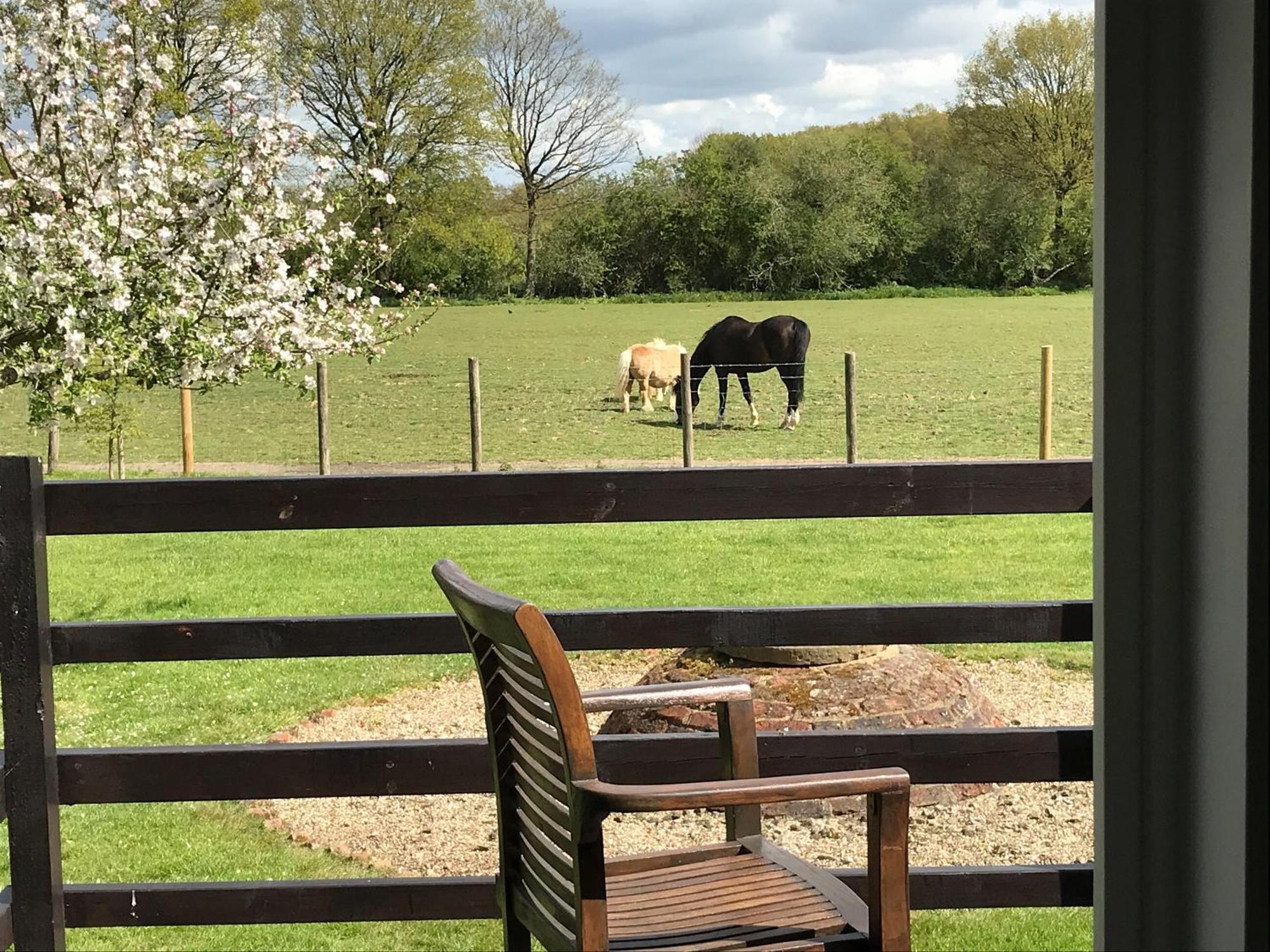 Maplehurst Barn Stables Staplehurst Luaran gambar